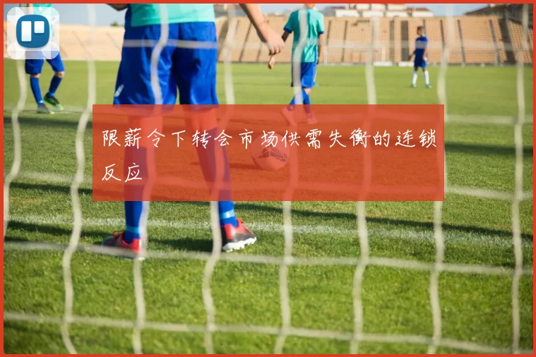 限薪令下转会市场供需失衡的连锁反应