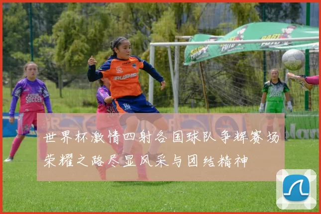 世界杯激情四射各国球队争辉赛场荣耀之路尽显风采与团结精神