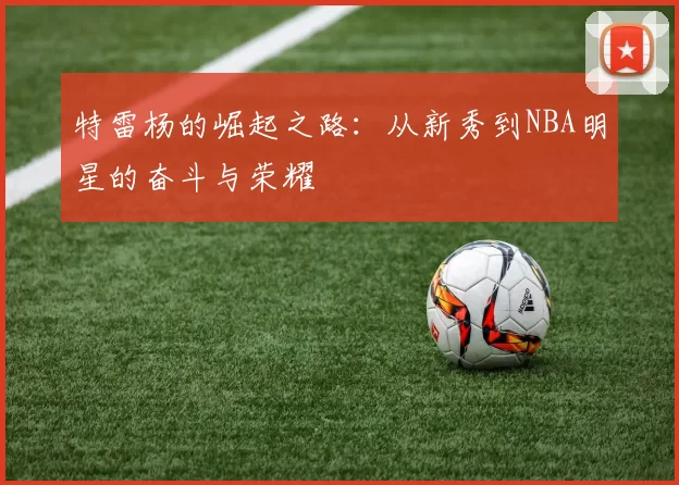 特雷杨的崛起之路：从新秀到NBA明星的奋斗与荣耀