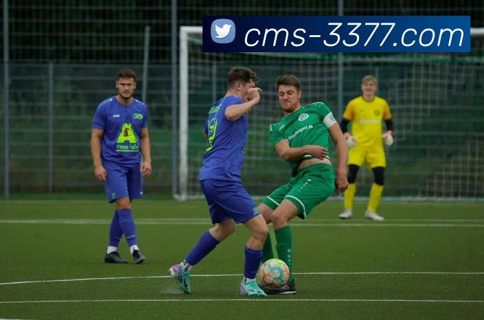 3377体育APP 体育赛事宣传图